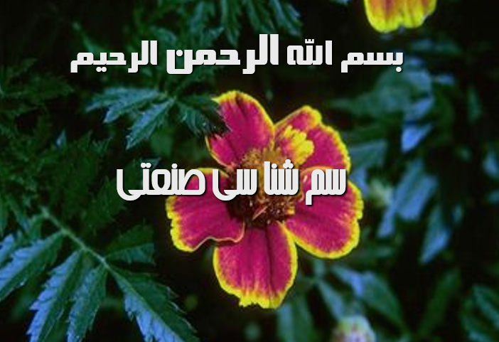 دانلود-پاورپوینت-سم-شناسی-صنعتی
